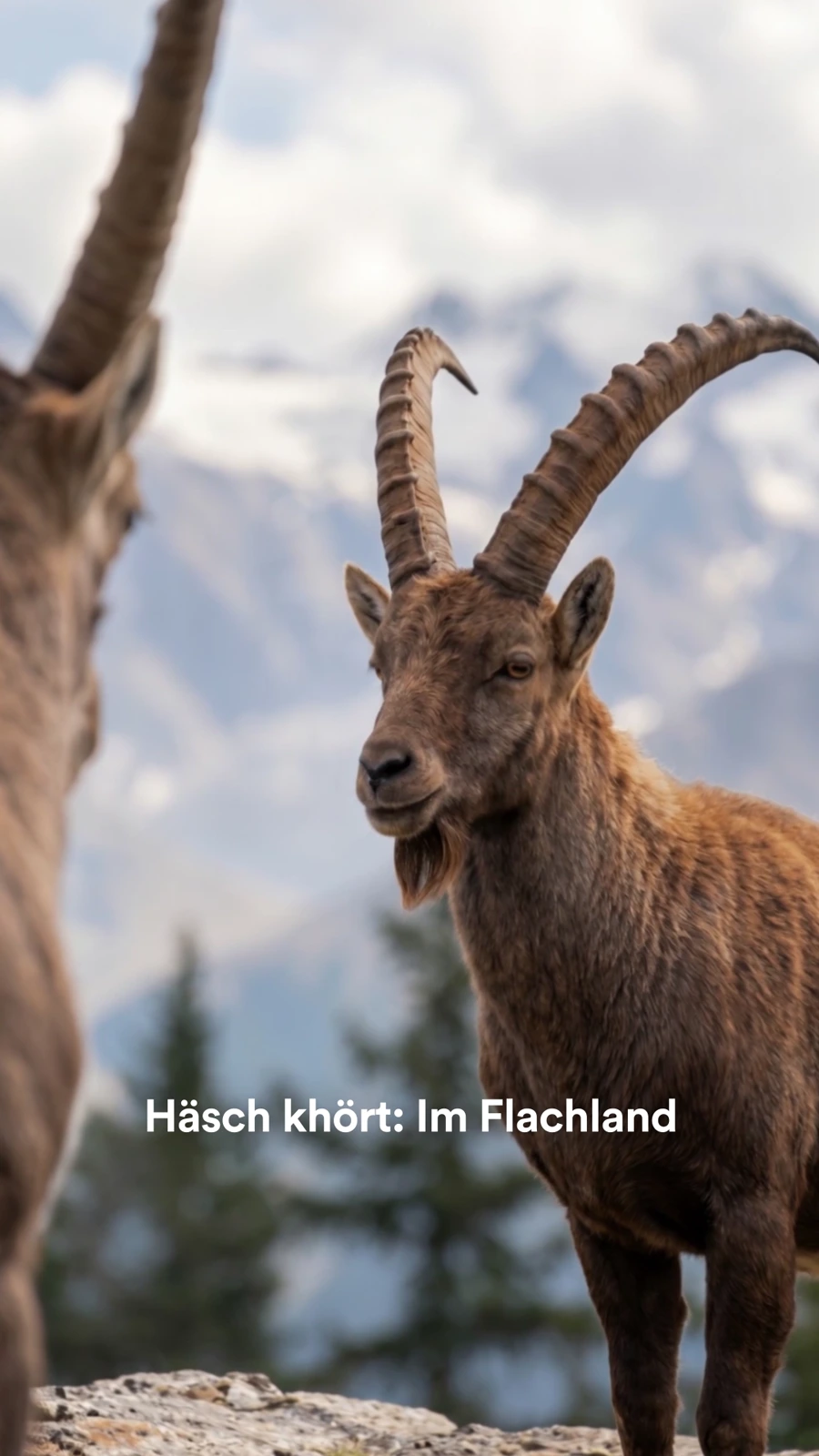 Graubünden Ferien